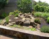 small pond
