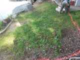 walls, patios
